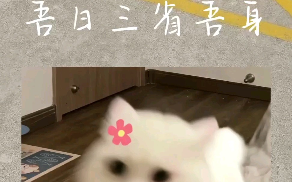 吾日三省吾身什么呢哔哩哔哩bilibili