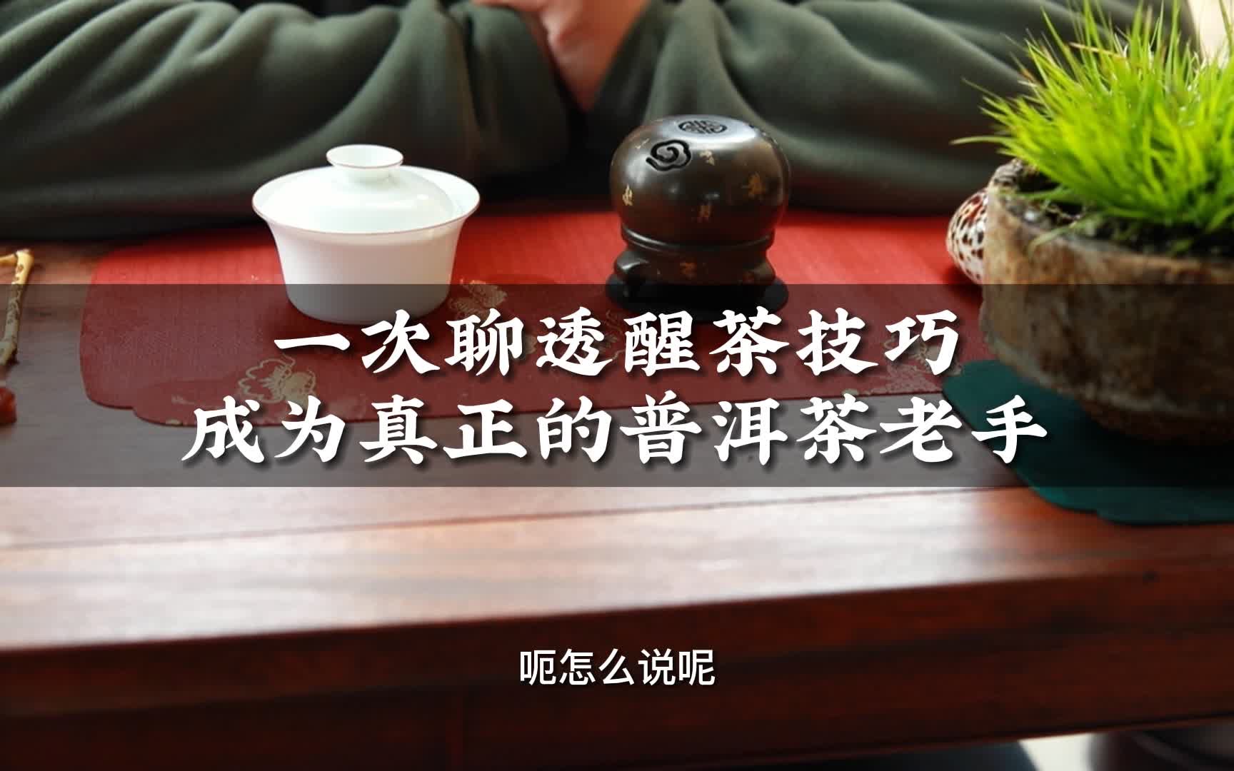 一次聊透醒茶技巧成为真正的普洱茶老手哔哩哔哩bilibili