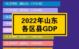 Descargar video: 2022年山东各区县GDP排名