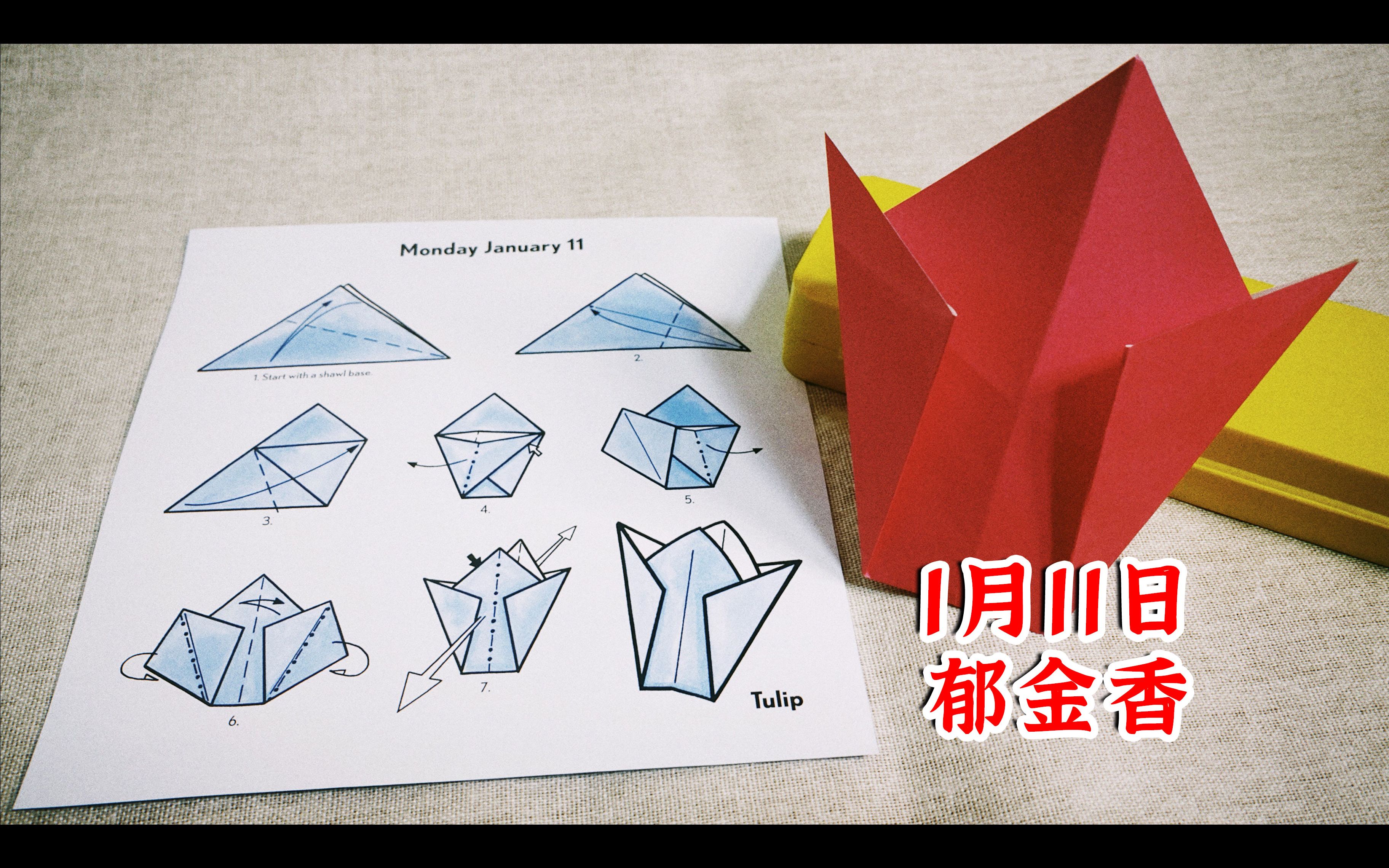 活动作品1月11日郁金香每日简易折纸日历