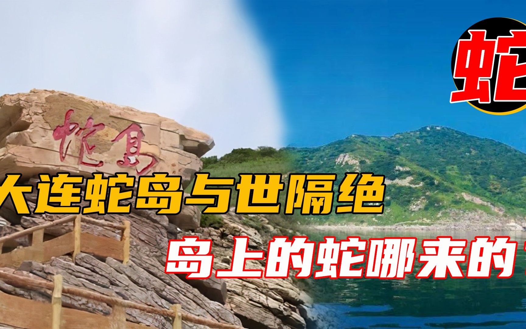 远离大陆面积仅12平方公里却隐藏近2万条毒蛇大连蛇岛的蛇哪来的