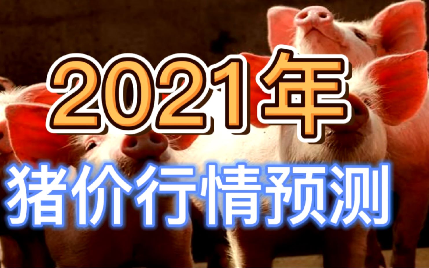 2021年中国猪价行情预测:猪肉还能回到15元一斤水平吗?哔哩哔哩bilibili