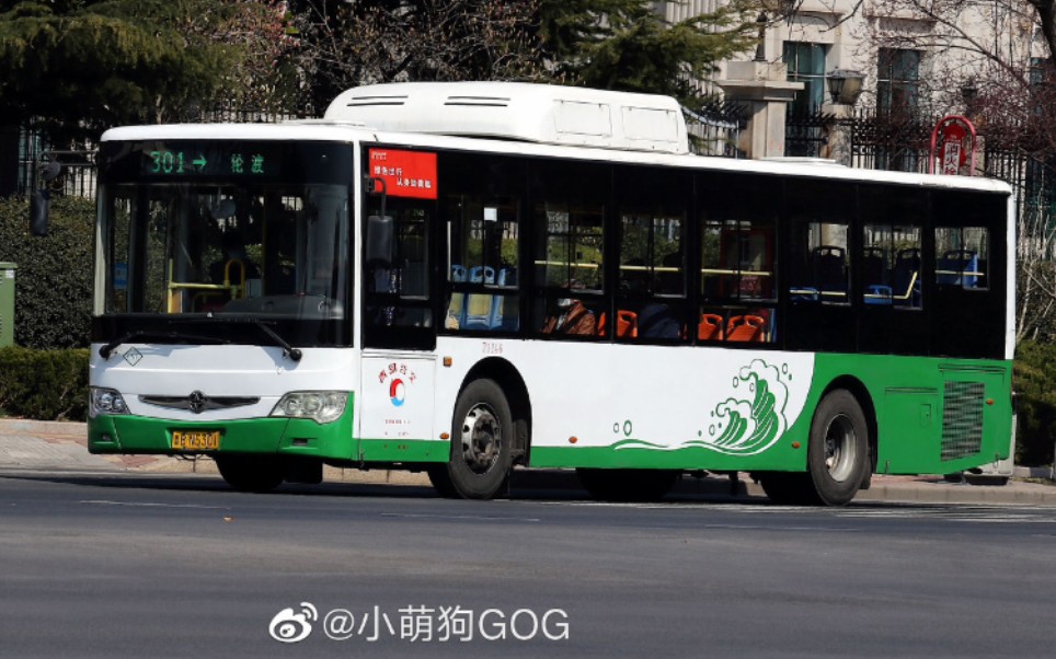 青岛301路公交车图片