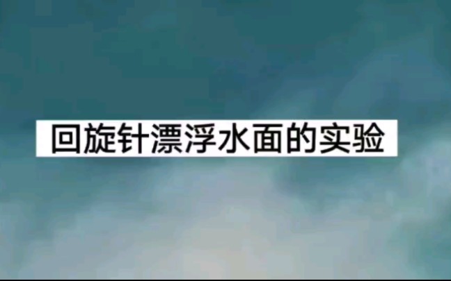 科学小实验,回旋针漂浮水面!!!( 냌𖌤쁠꒳ 낌𖌤쀠):哔哩哔哩bilibili