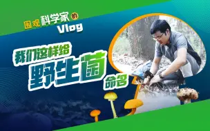 Download Video: 【围观科学家的Vlog】关羽张飞李逵……这些是野生菌的名字