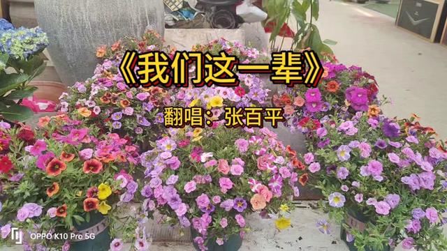 《我们这一辈》翻唱:张百平哔哩哔哩bilibili