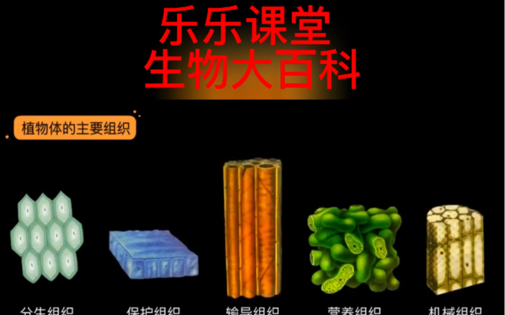 [图]乐乐课堂_生物大百科全套