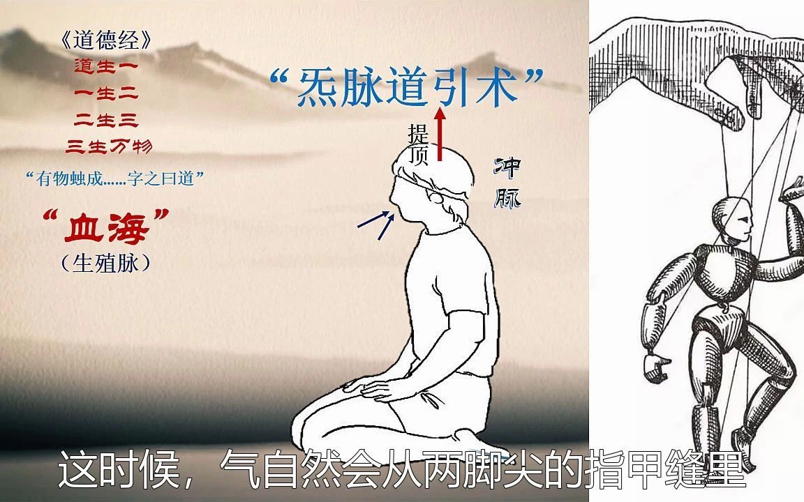 踵息是什么?如何练就?哔哩哔哩bilibili