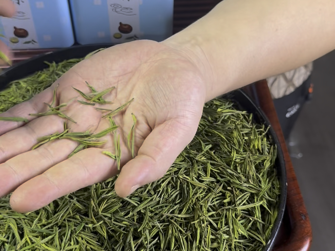 明前高山白茶,一芽一叶,小嫩芽,花香浓郁,叶白脉绿,真的漂亮