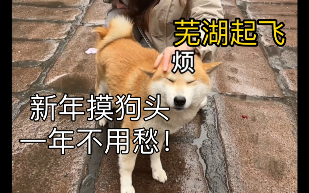 昨天忘记发了哔哩哔哩bilibili