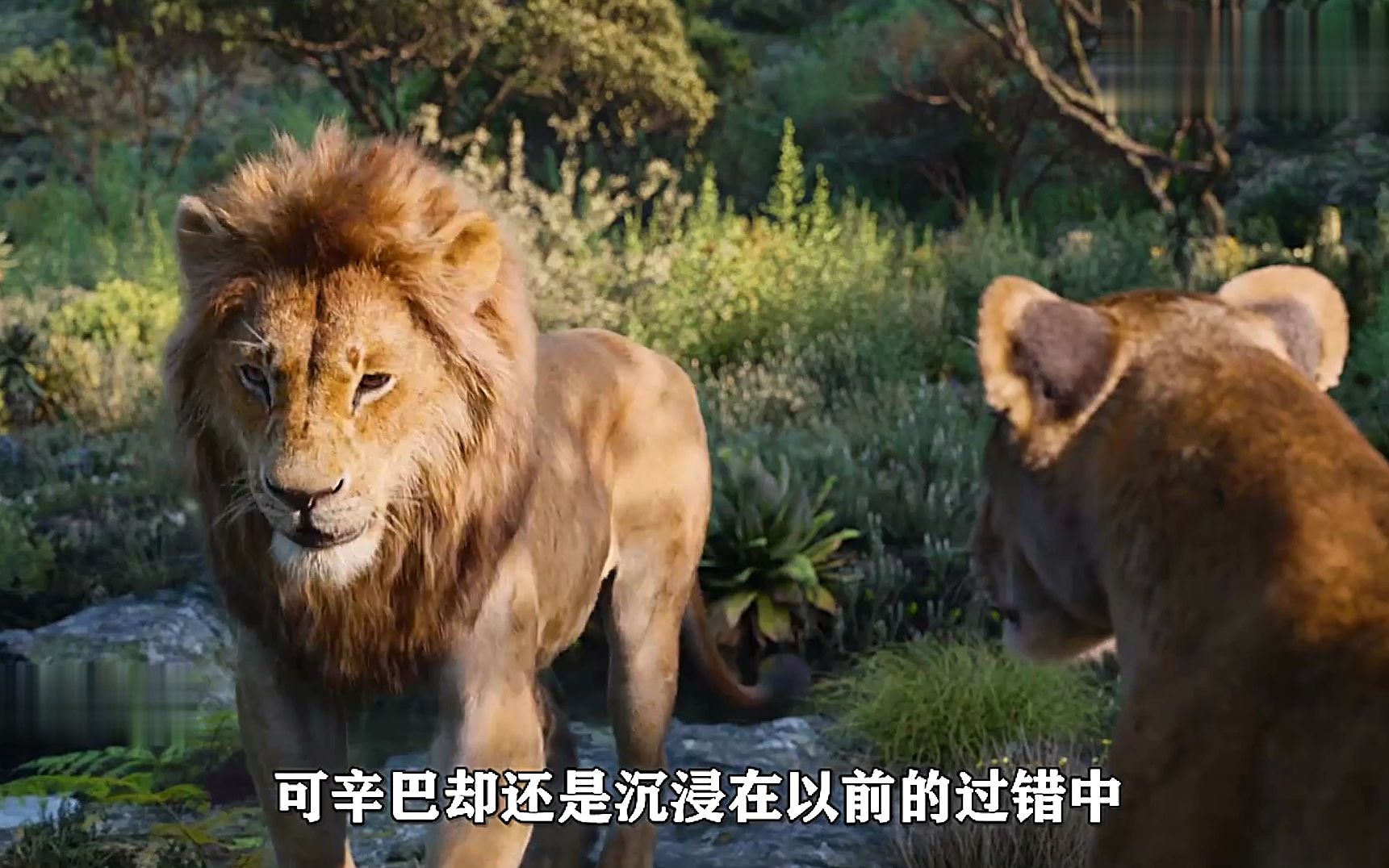 一个叫辛巴的小狮子,因为父亲被害,开始了它的逆袭之路!