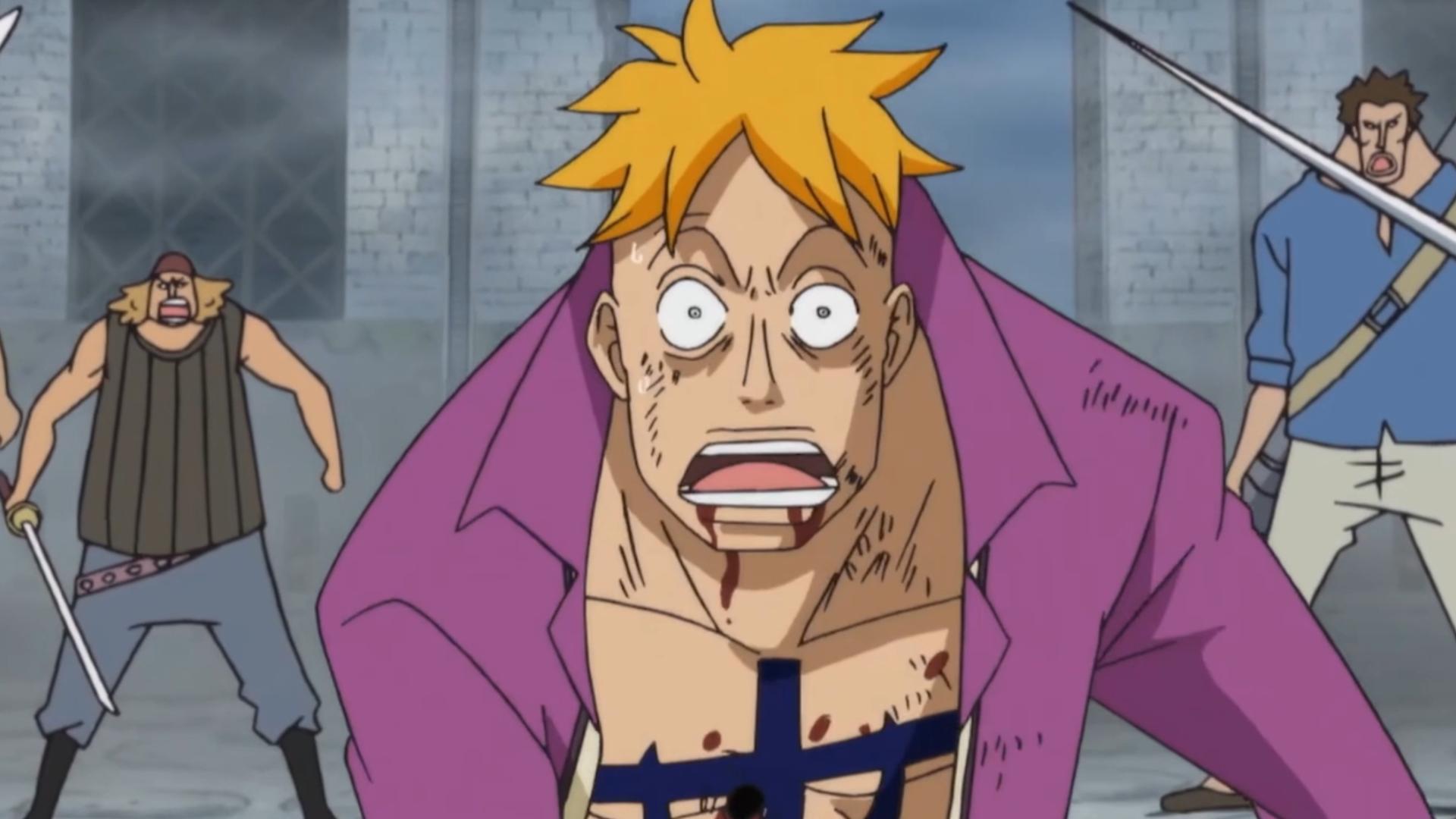 【海贼王_短剪_伤感】所以.不死鸟的定义是什么.