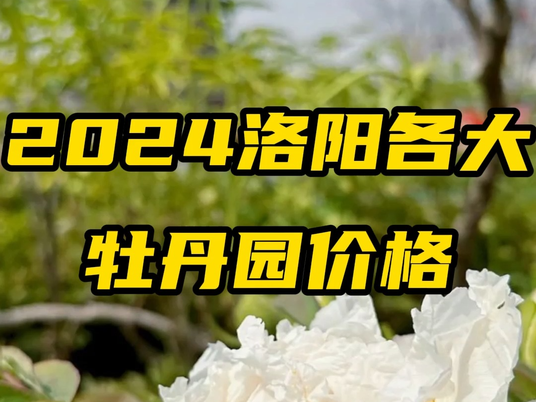 2024洛阳各大牡丹园价格表,牡丹即将进入盛花期,想来看牡丹的要抓紧啦,洛阳牡丹花会游,咨询洛阳天天旅行社.哔哩哔哩bilibili