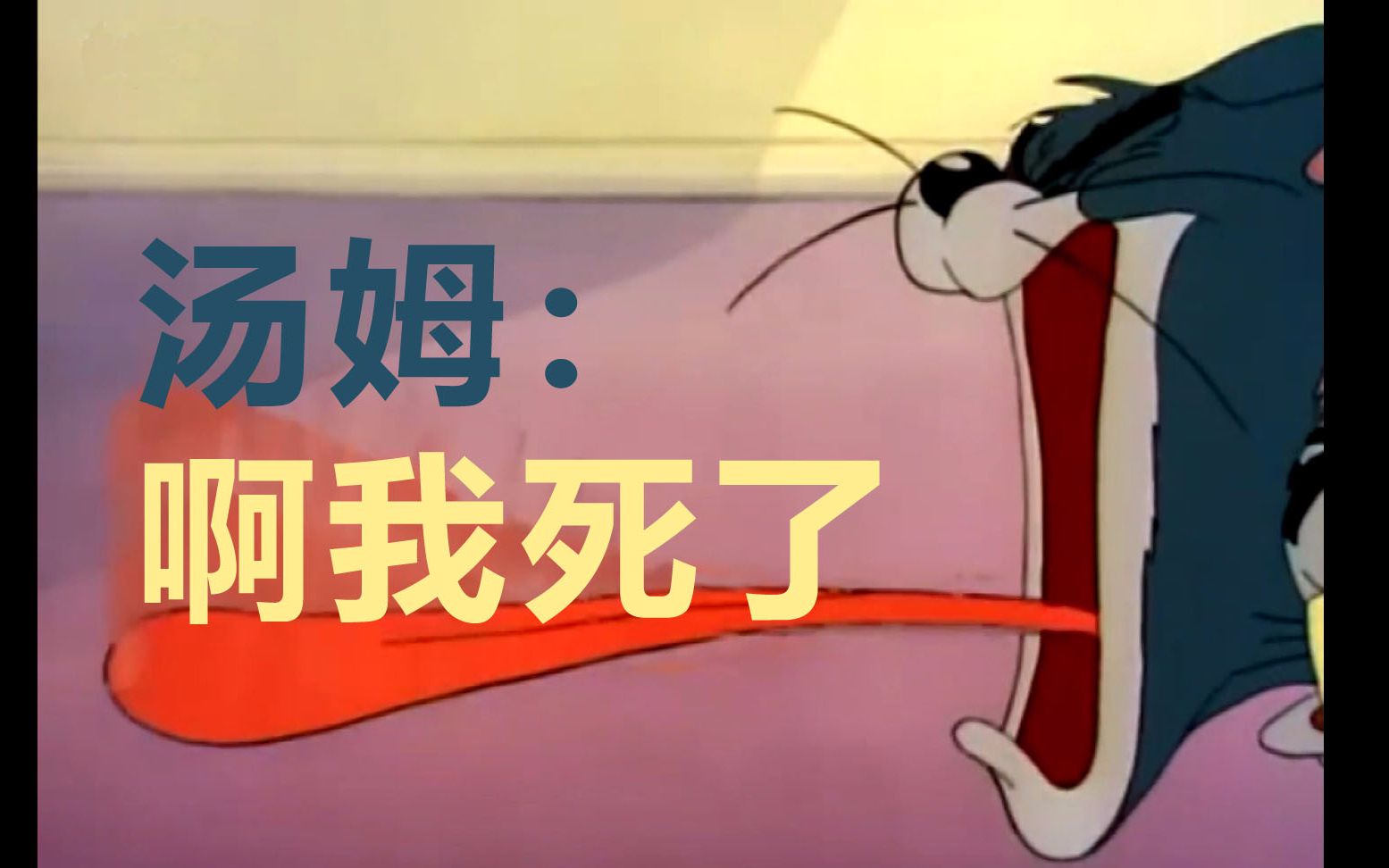 猫和老鼠汤姆的一百种死法全程高能踩点