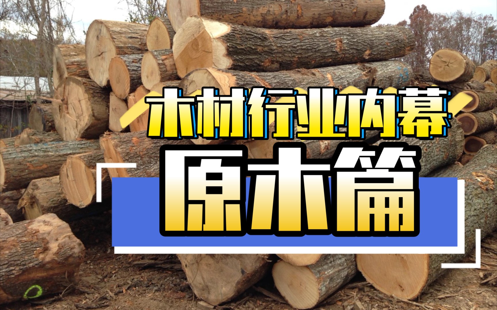 家具厂都不知道的木材行业内幕原木篇哔哩哔哩bilibili