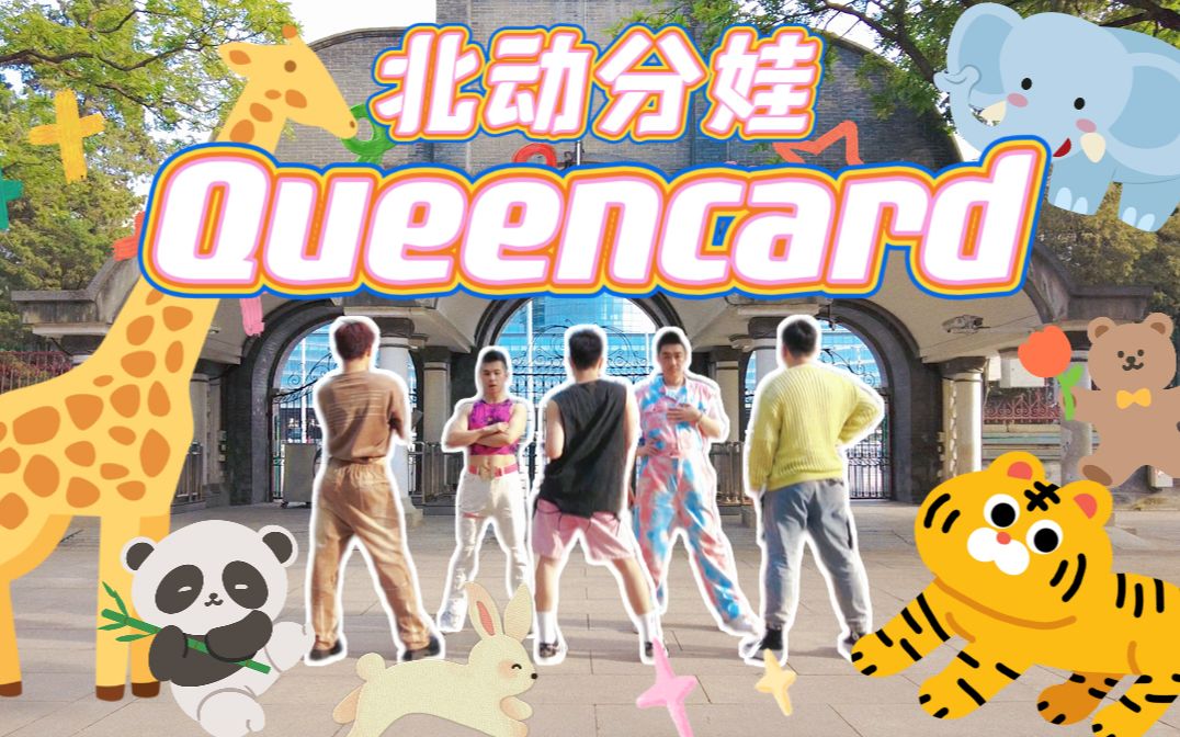 男娃来北动打歌了?全网最社牛的Queencard现场 | 动物园银行打歌舞台哔哩哔哩bilibili