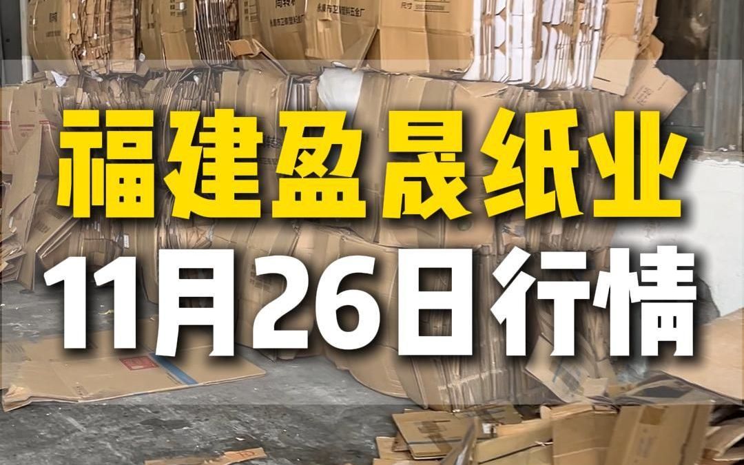 11月26日福建漳州盈晟纸业今日行情参考哔哩哔哩bilibili