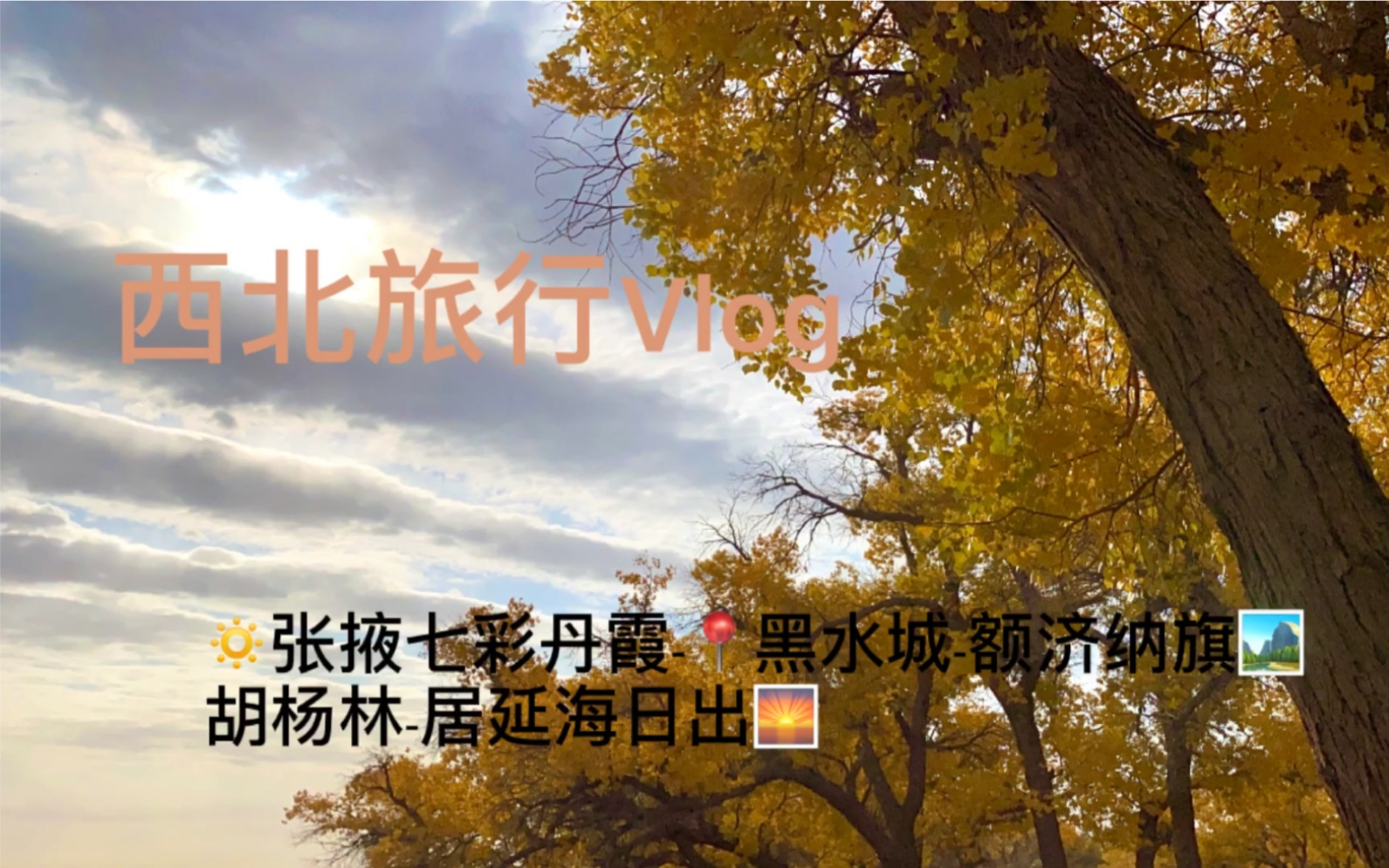 [图]西北环线〈西北旅游〉纯景 VLOG #张掖丹霞-阿拉善黑水古城-怪树林-额济纳旗胡杨林-居延海看日出#