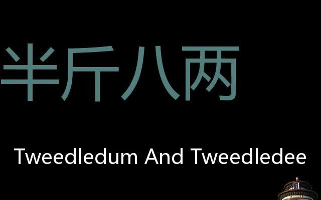 半斤八两 Chinese Pronunciation tweedledum and tweedledee哔哩哔哩bilibili