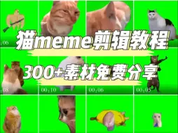 Video herunterladen: 猫meme的素材含教程免费分享‼️录了一波猫meme的教程分享，无偿分享猫meme的素材 200绿幕素材+300张猫meme背景图+