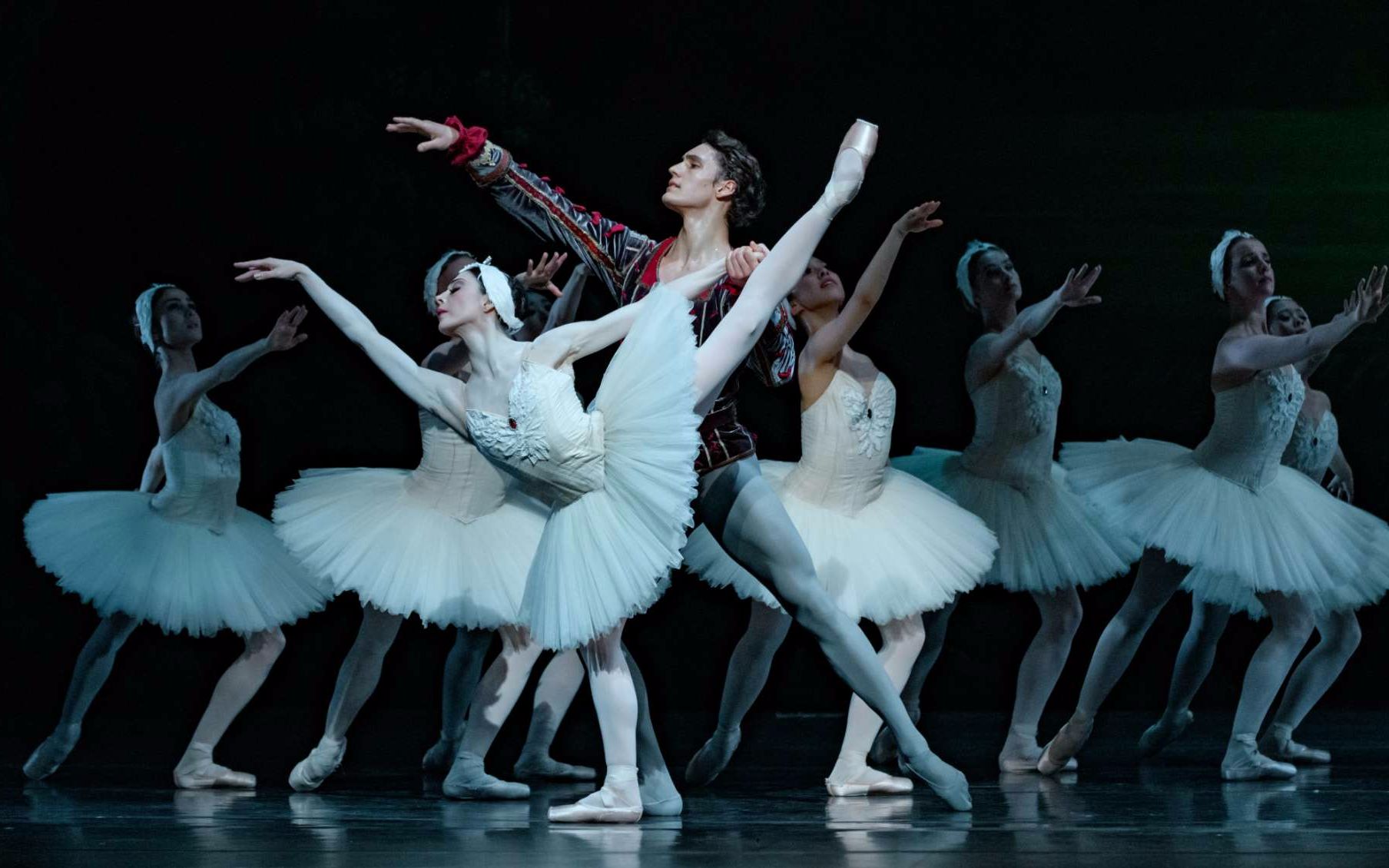 【芭蕾】超清官摄《天鹅湖》白,黑天鹅双人舞maia makhateli,daniel