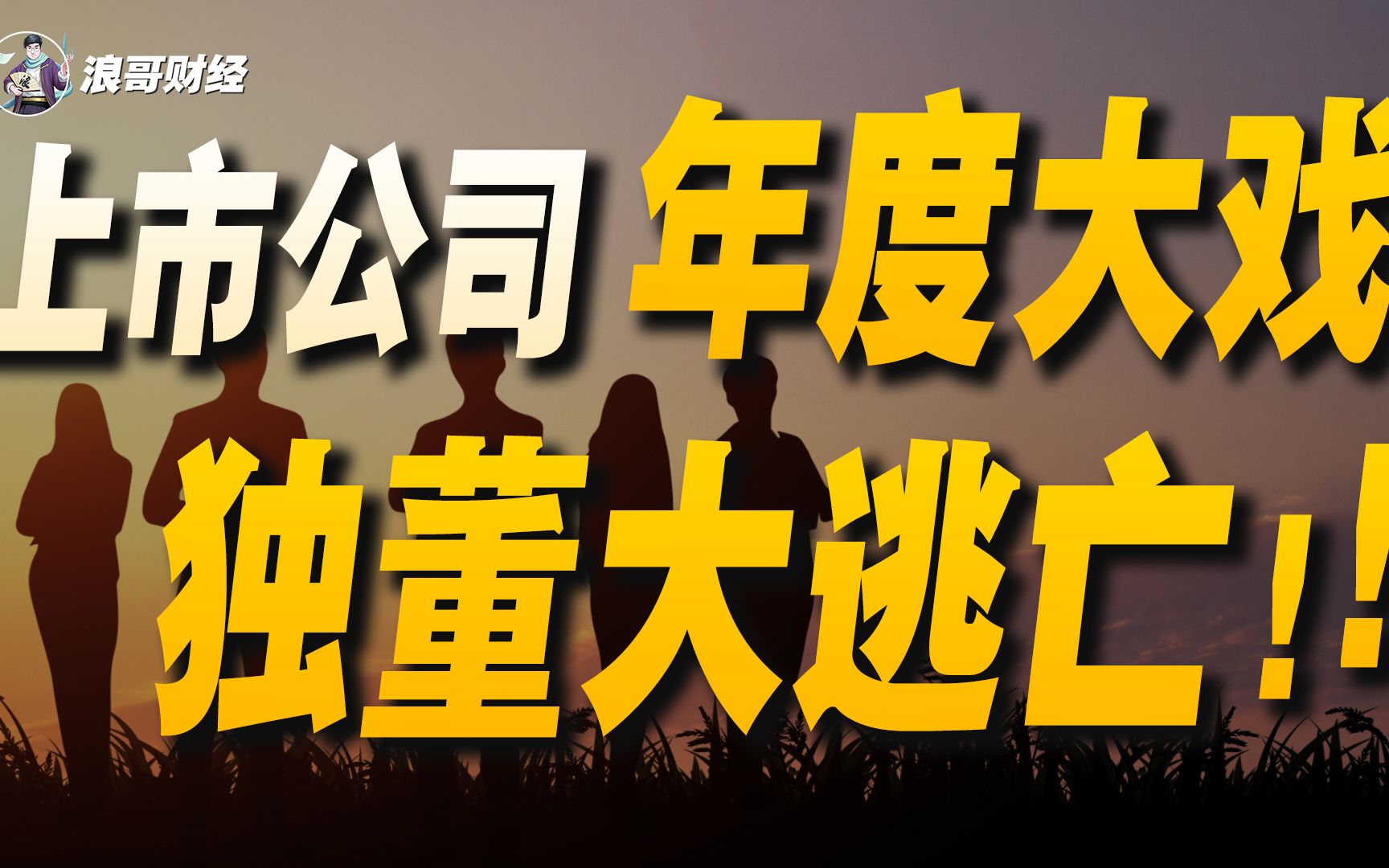 上市公司年度大戏,独董大逃亡,公司撕破脸,他们在害怕什么?哔哩哔哩bilibili