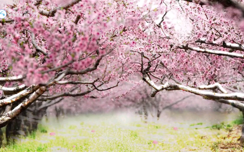 [图]一曲《桃花渡》清新悠远，沁人心脾