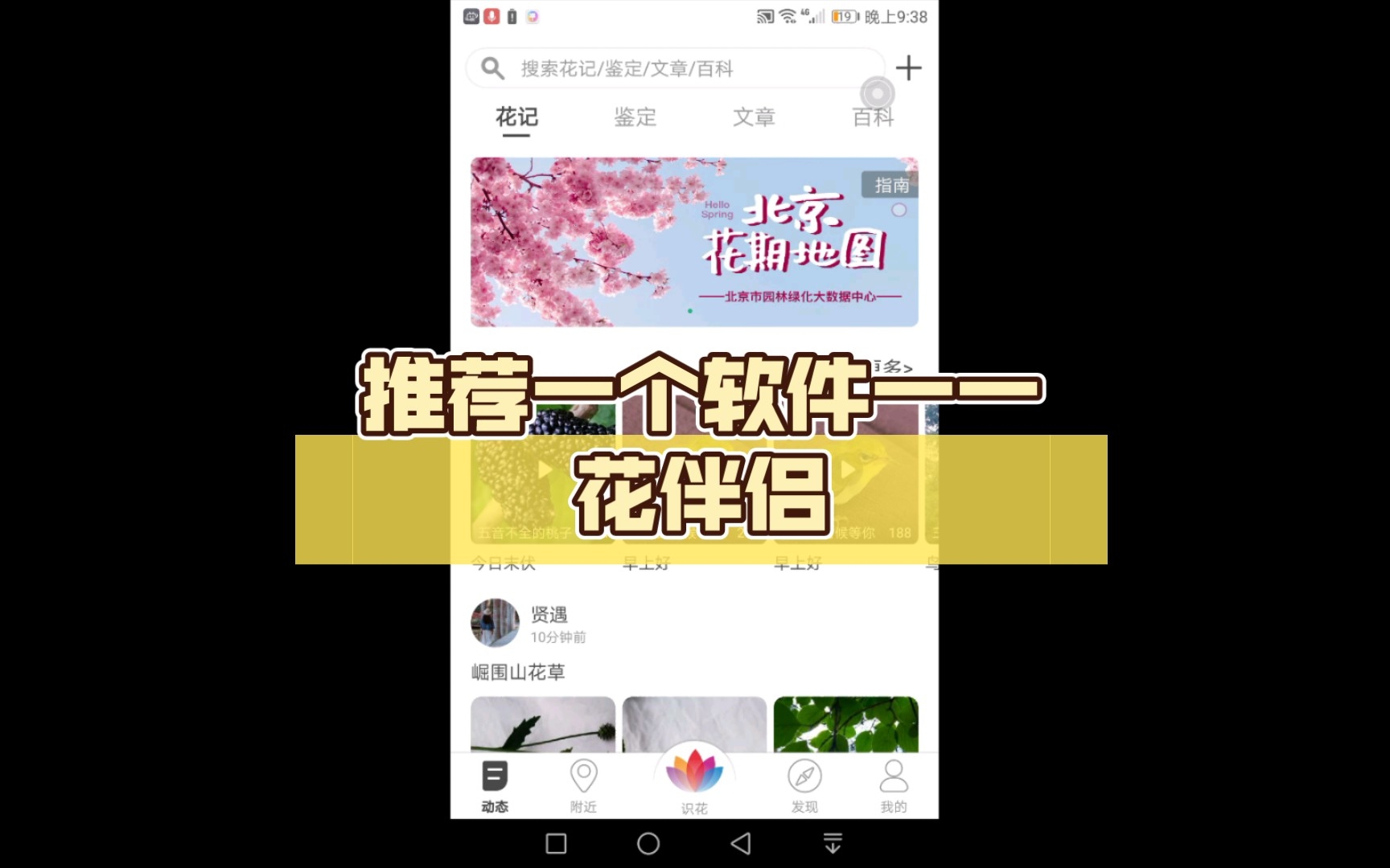 推荐一个软件一一花伴侣哔哩哔哩bilibili