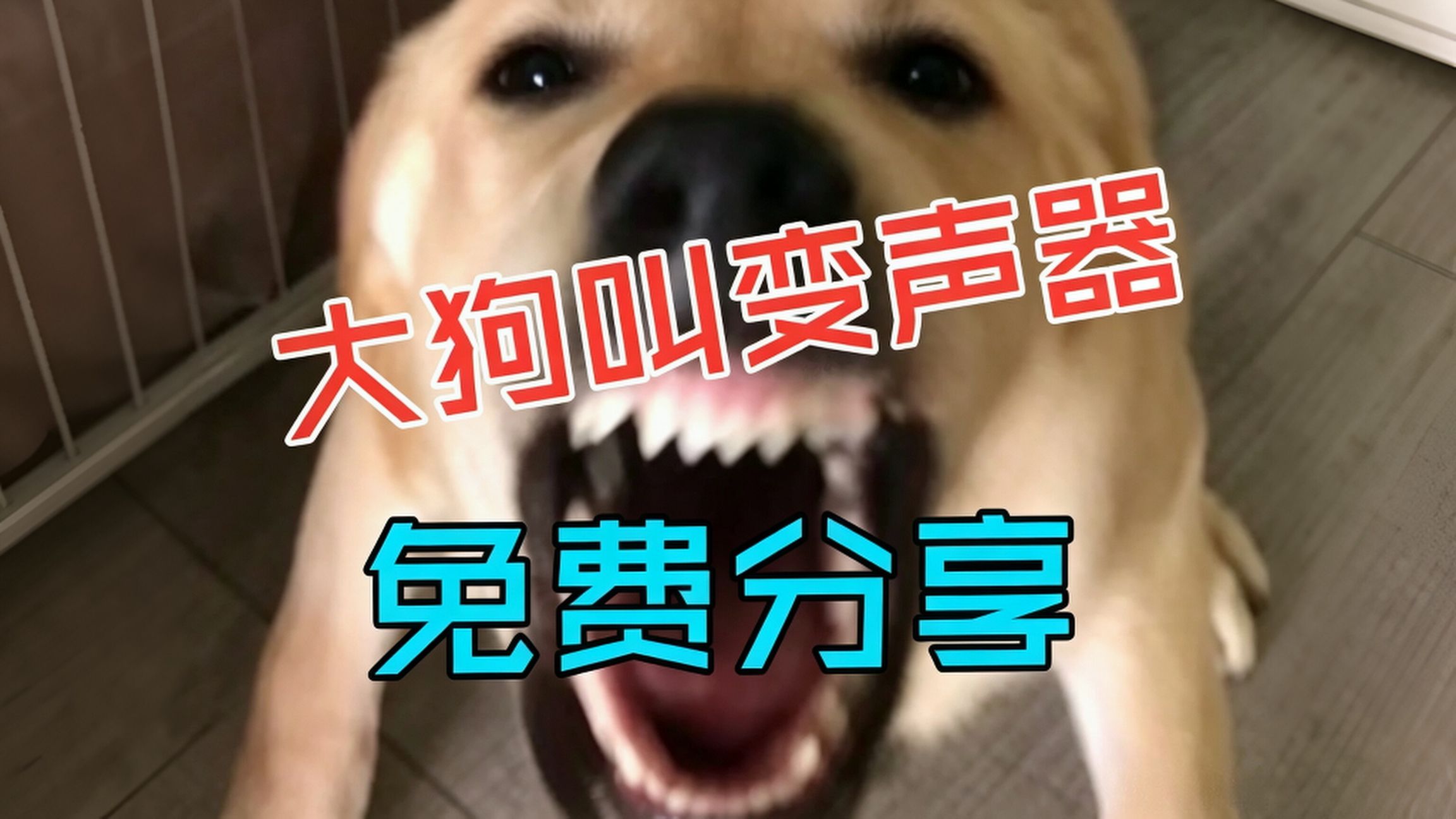 7.15 最新【大狗叫】变声器模型上线！大狗叫变声器！⚡大狗叫不叫⚡！手机电脑通用！无需声卡一键变声！整活必备！更有百款音色等你体验！