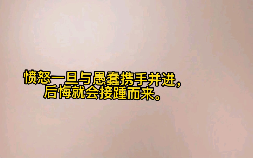 心理学之踢猫效应哔哩哔哩bilibili