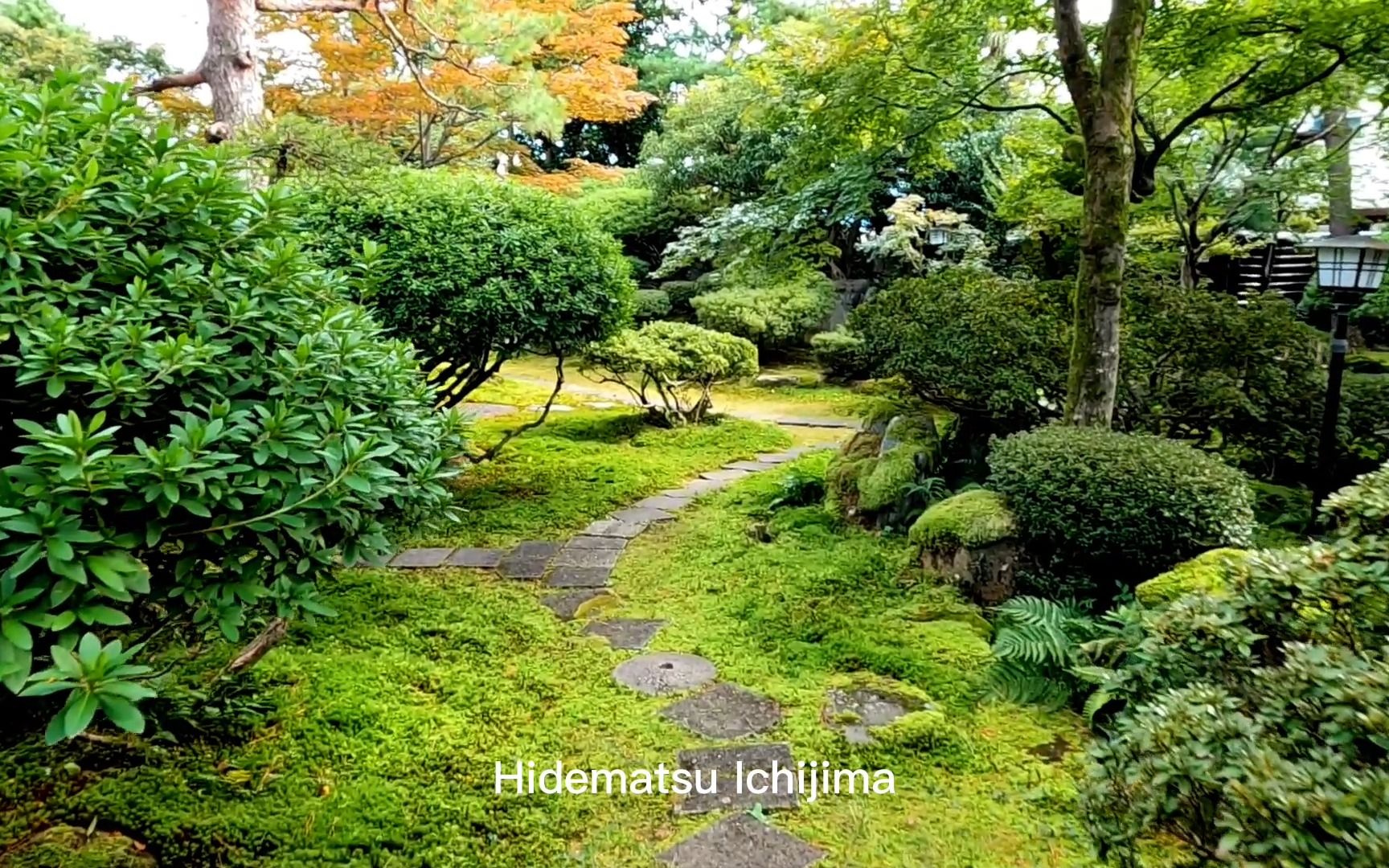 苔藓花园,咖啡厅后面的园子