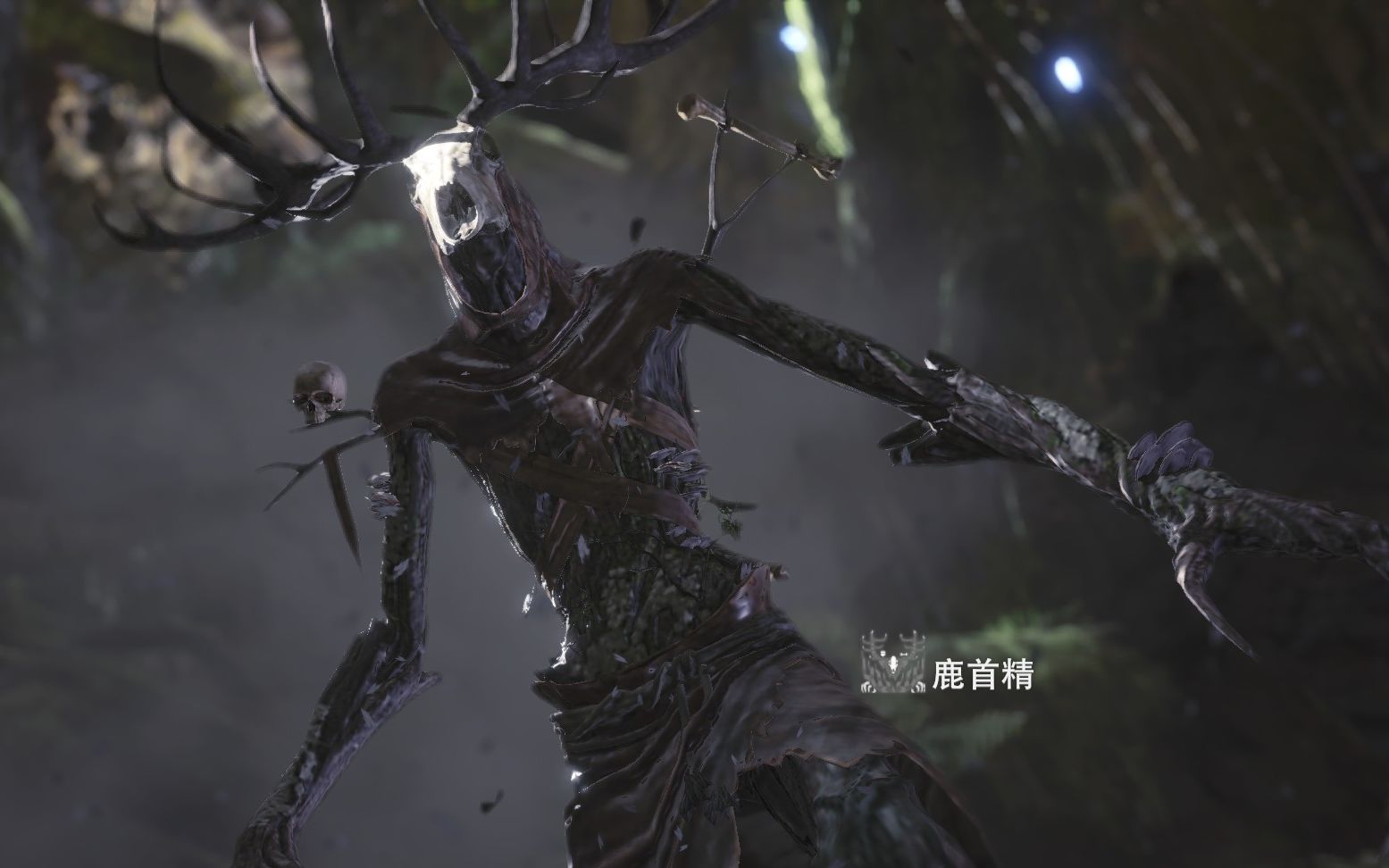 【mhw】太刀 鹿首精 1903(毒妖鸟支线/无落石无闪)_哔哩哔哩 (゜-゜)