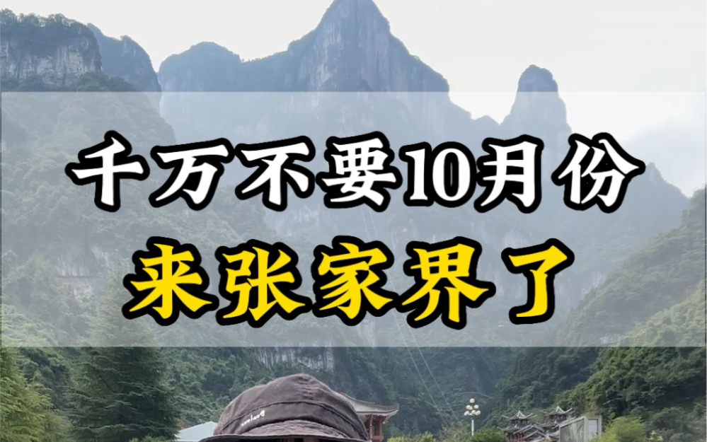 千万不要10月来张家界了,自由行太贵,跟团游太累,如果您一定要来,这份人均1000的半自由行攻略,请收藏好#张家界天门山#张家界旅游攻略#湖南张家...