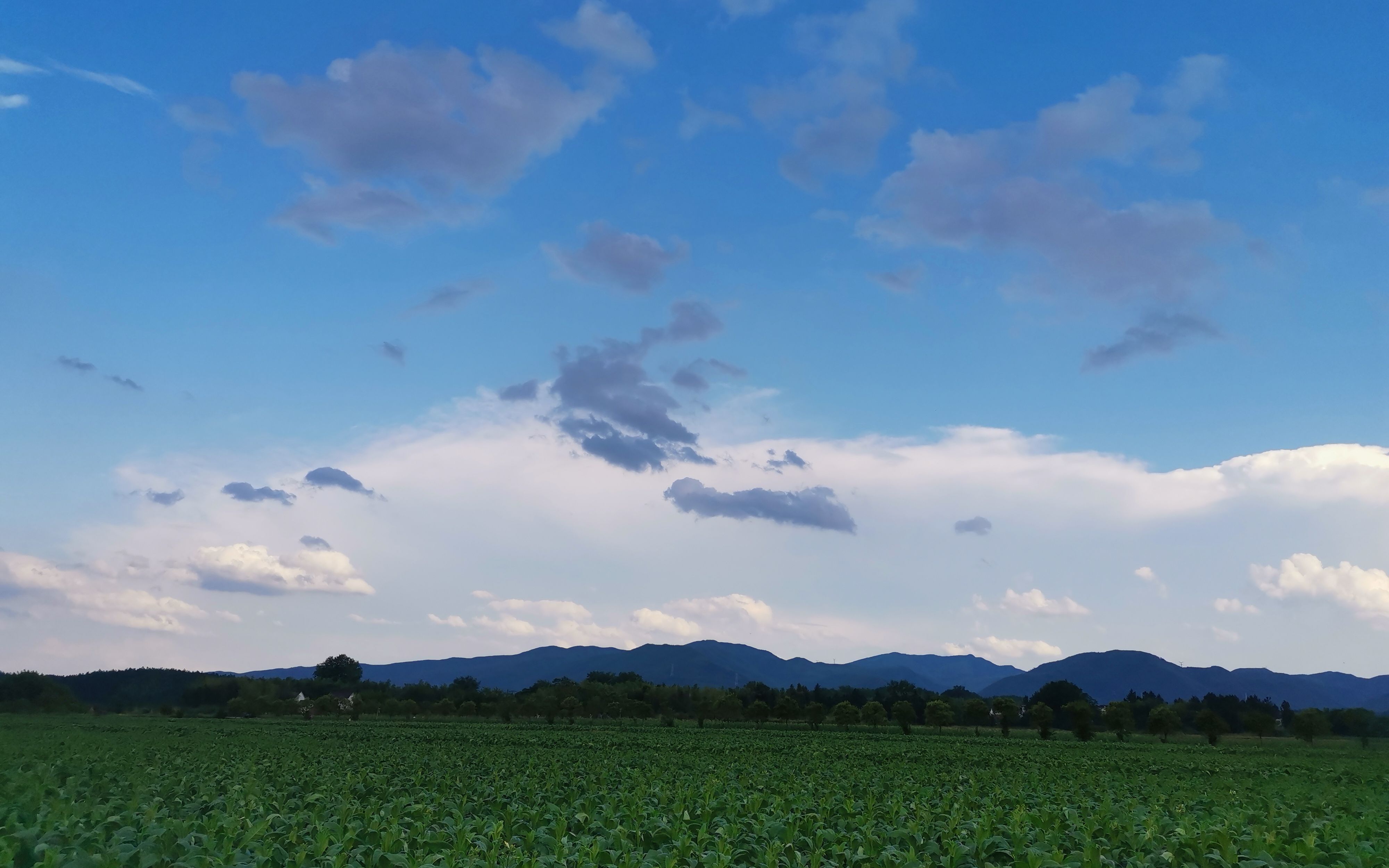 [图]美丽的风景 需要你我他看得见