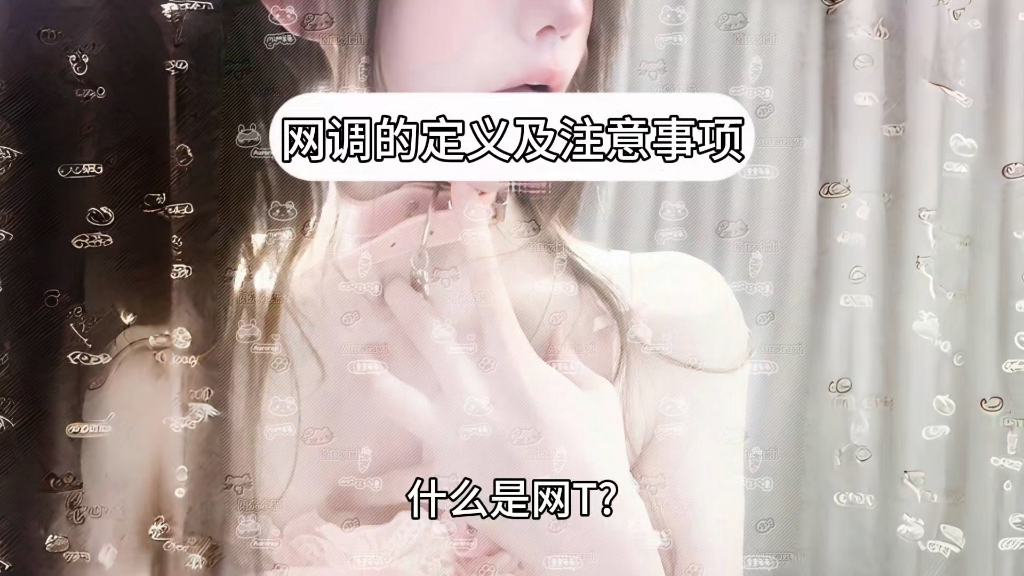 网调的定义及注意事项哔哩哔哩bilibili