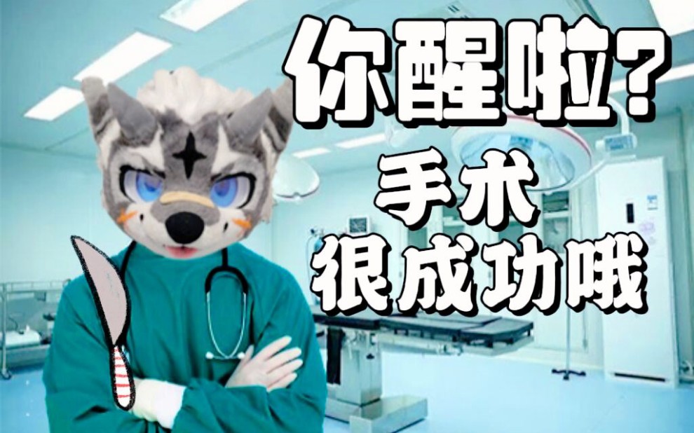 你醒啦?手术很成功喔 (一觉醒来变成福瑞控)兽装