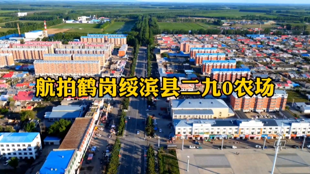 航拍鹤岗绥滨县290农场,小城不大,风景如画,最美的家乡农场