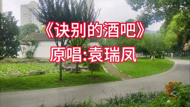 [图]为何你只留下我自己，为何我们不能在一起，为何偷偷躲在伤心的酒吧里，独饮烈酒把你来回忆…化成串串相思的泪滴