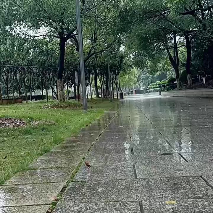 一个人享受着雨天的孤独