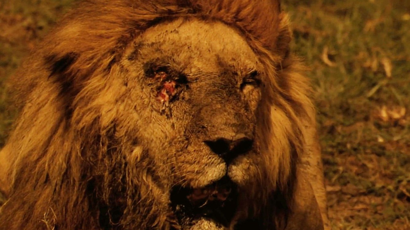 比死亡先来的总是妈妈