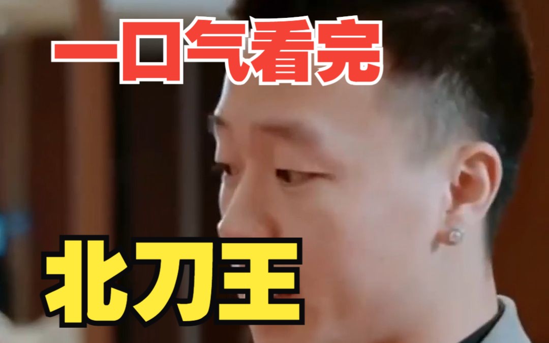 【北刀王】超好看剧情,一口气看完,北刀王!