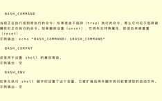 C语言学习531 Bash Shopt 哔哩哔哩