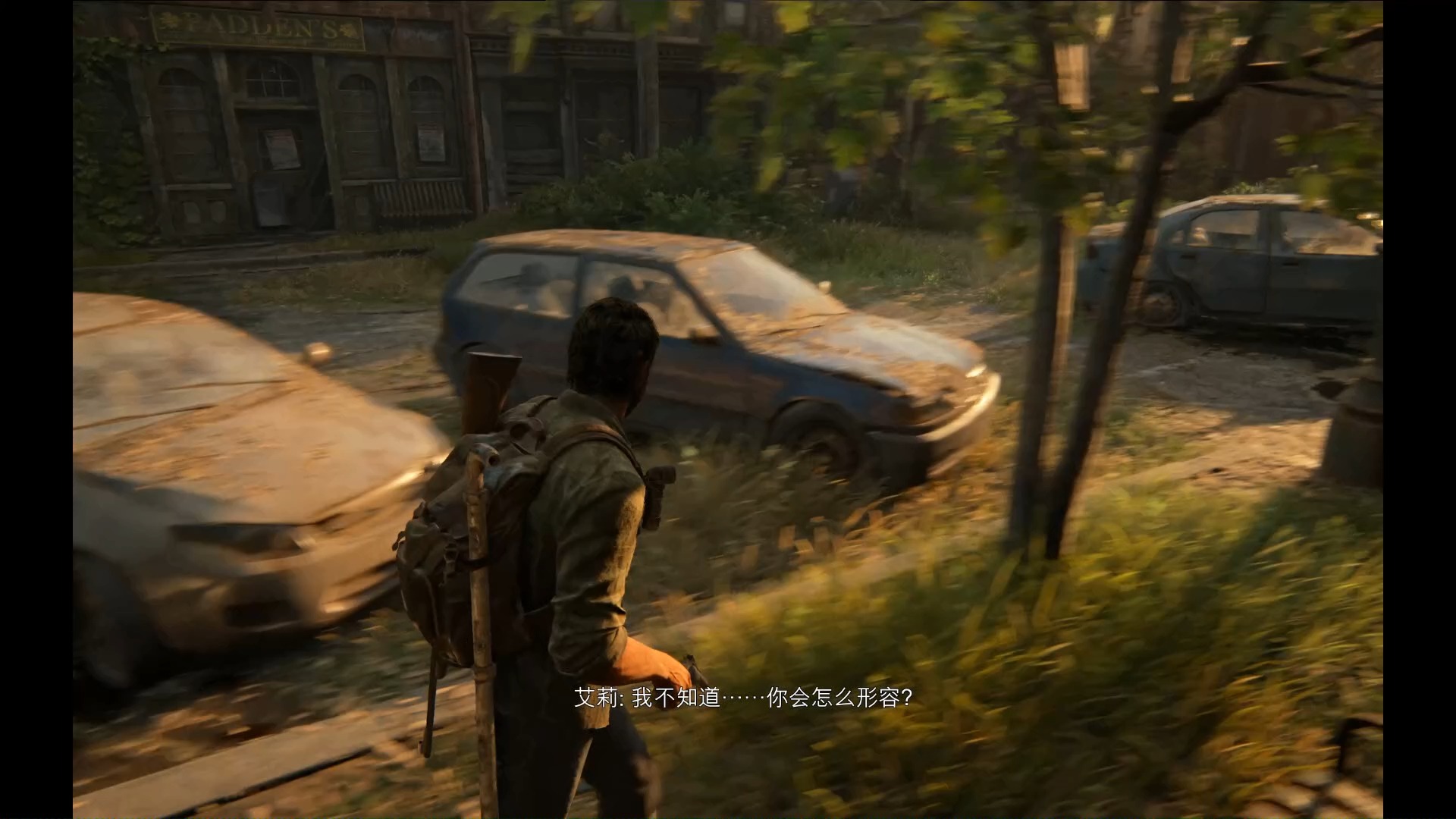 最后生还者(通关视频) 第一部 第四章 第一节(比尔的小镇)(寻找比尔