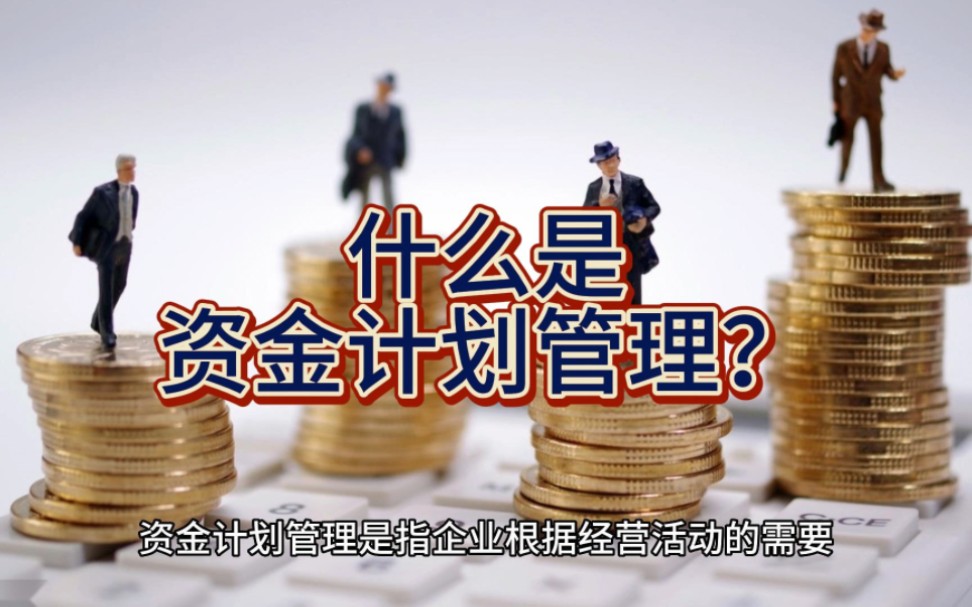 邑泊咨询:什么是资金计划管理?哔哩哔哩bilibili