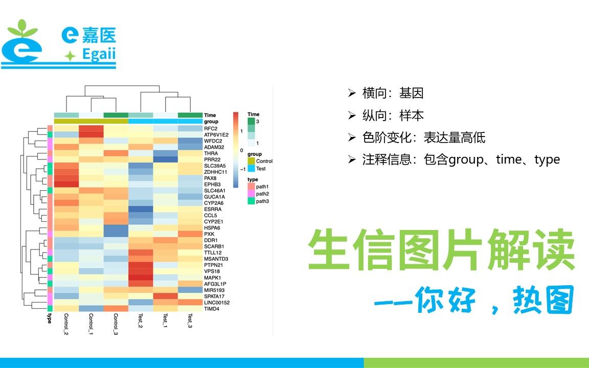 e嘉医 | 生信图片解读:你好,热图!哔哩哔哩bilibili