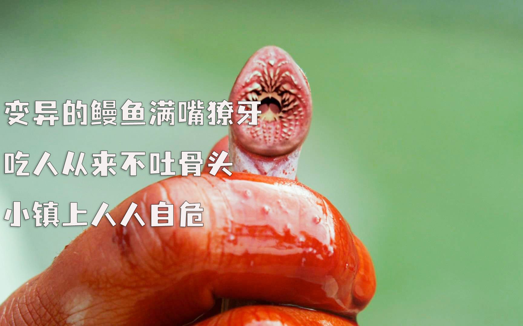 活动  镇上接连发生命案,凶手竟然是变异鳗鱼