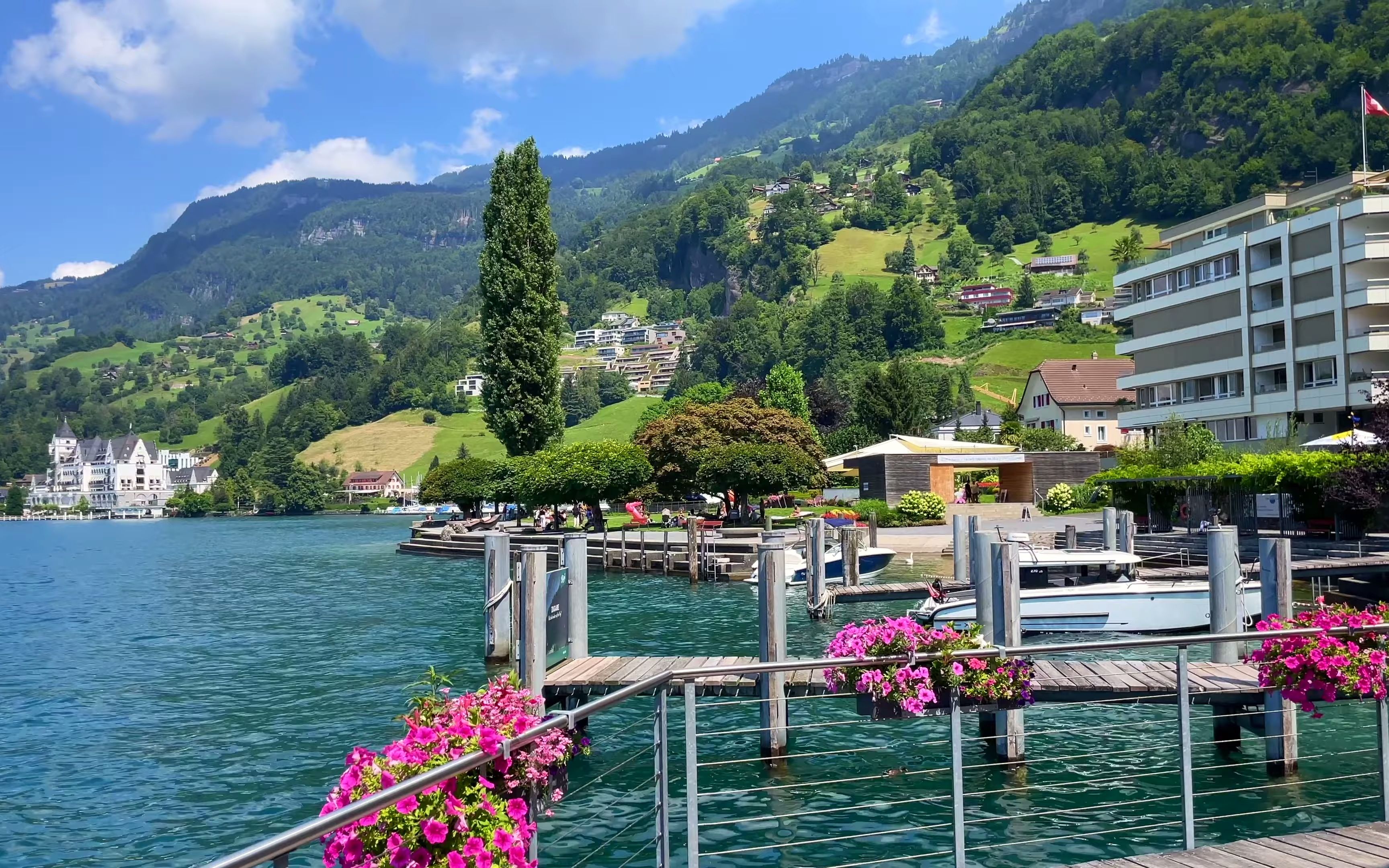 【4k】瑞士 维兹诺 卢塞恩湖上的村庄