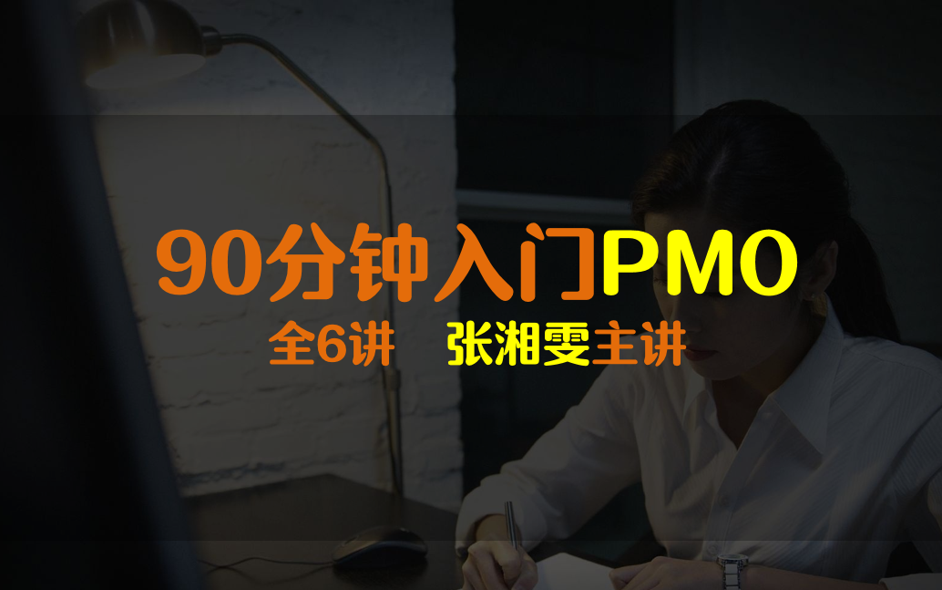 PMO快速入门 如何快速组建PMO部门及组织?哔哩哔哩bilibili