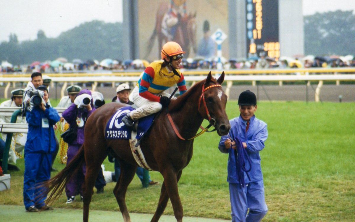 赛马2001年天皇赏秋爱丽数码アグネスデジタル