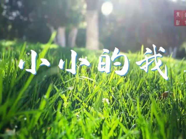 小小的我-学生励志诗歌少儿朗诵配乐背景视频2分06